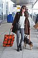 dakota johnson travels solo with her pet pooch by her side 09