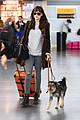 dakota johnson travels solo with her pet pooch by her side 10