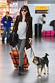dakota johnson travels solo with her pet pooch by her side 13