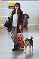 dakota johnson travels solo with her pet pooch by her side 14