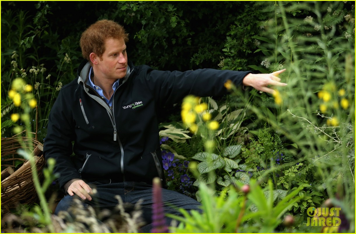 prince harry presents the chelsea flower show 153373399