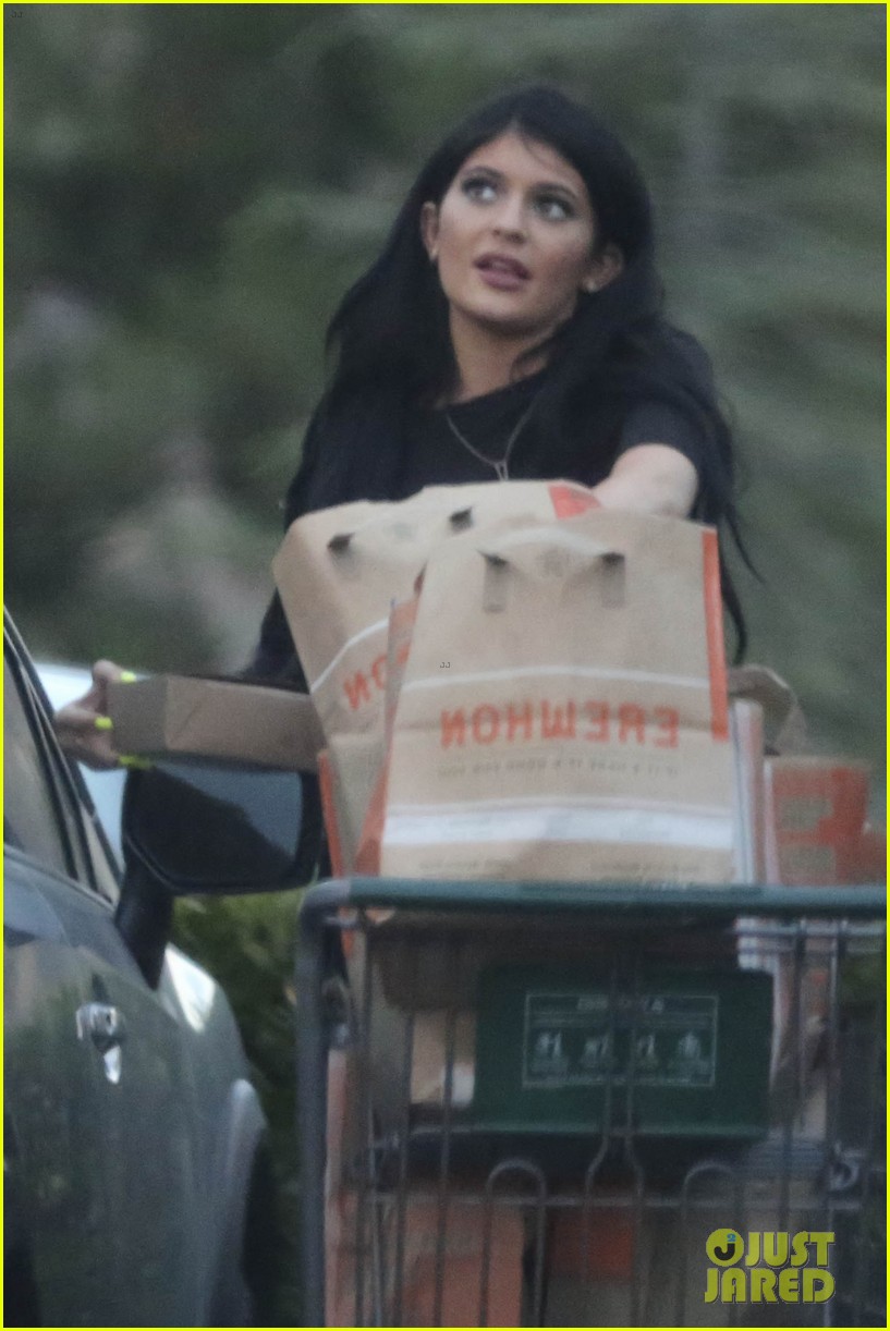 kylie jenner tyga groceries fourth july 173407071