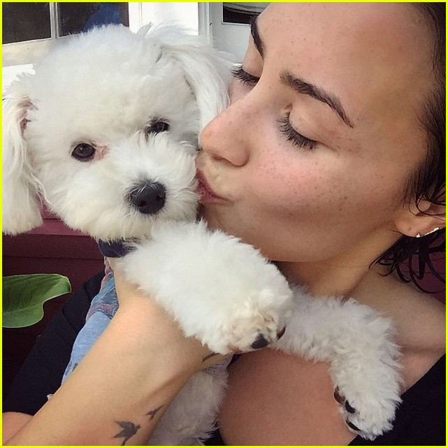 demi lovaot mourns the death of her dog buddy 063425982