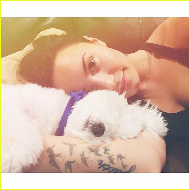 Demi Lovato Mourns the Death of Her Beloved Dog Buddy Photo 3425985