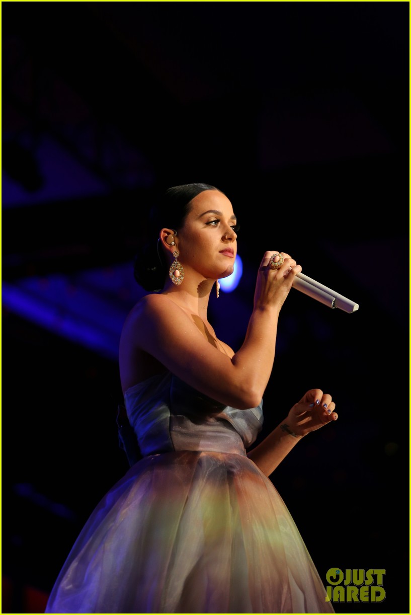 katy perry might have presidential dreams for the future 193425027