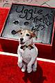 uggie the dog dead 03