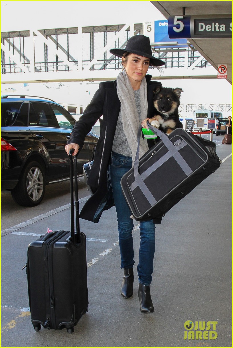 nikki reed flies with dog new owners lax 073552581