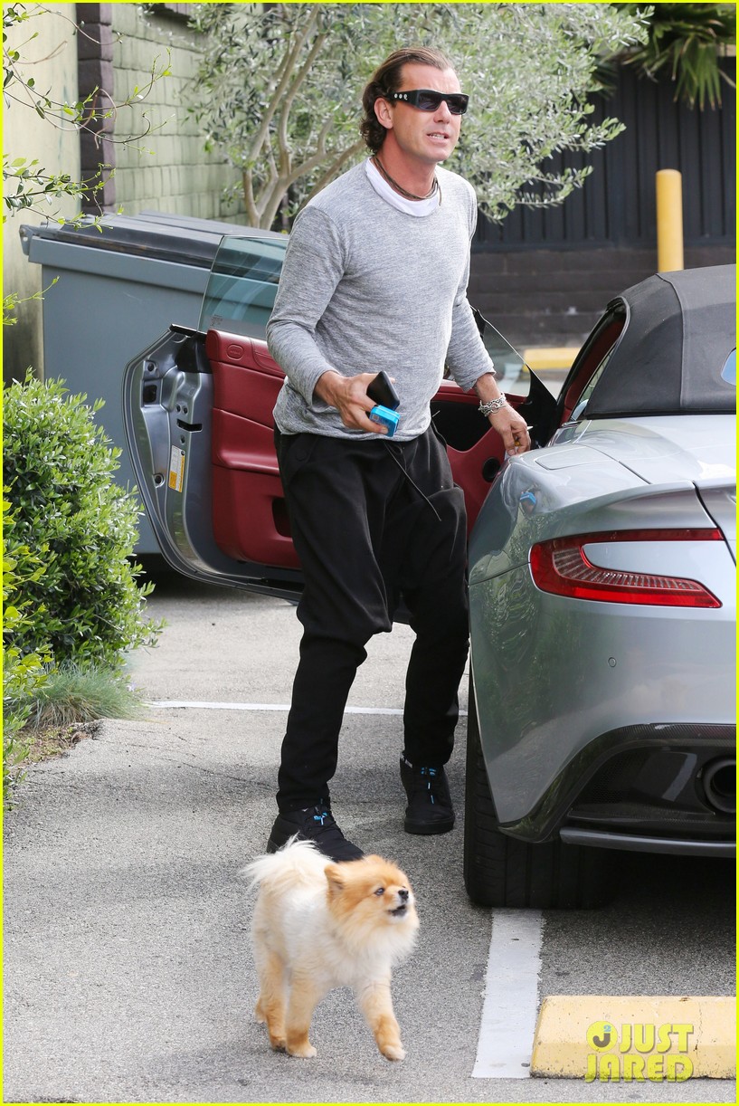 gavin rossdale steps out after news of nannys pregnancy 053599810