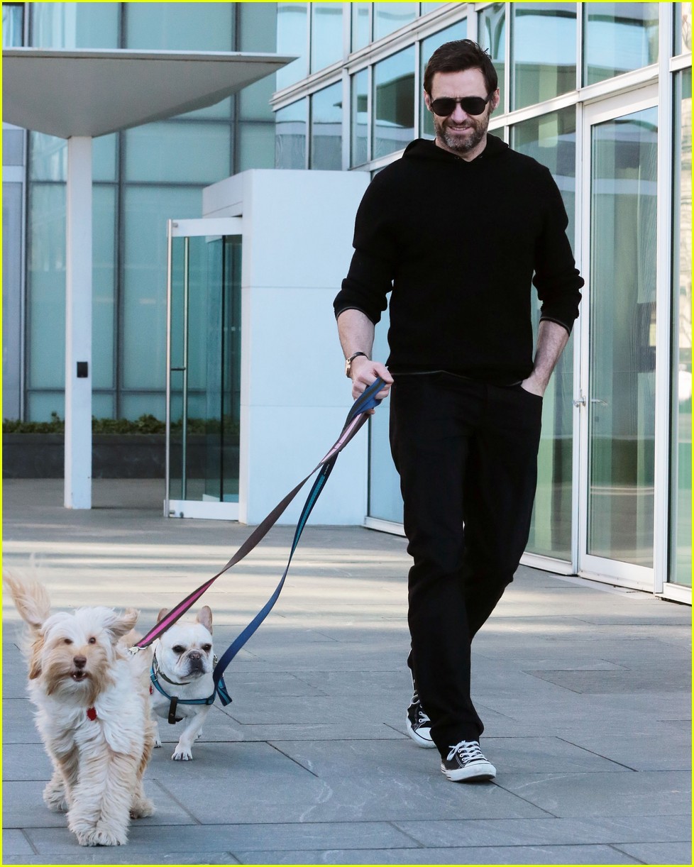 hugh jackman takes dogs for walk new york 063605203