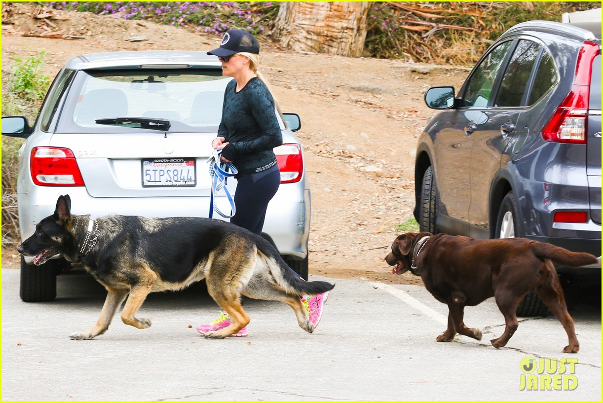 reese witherspoon hike dog brentwood 223599187