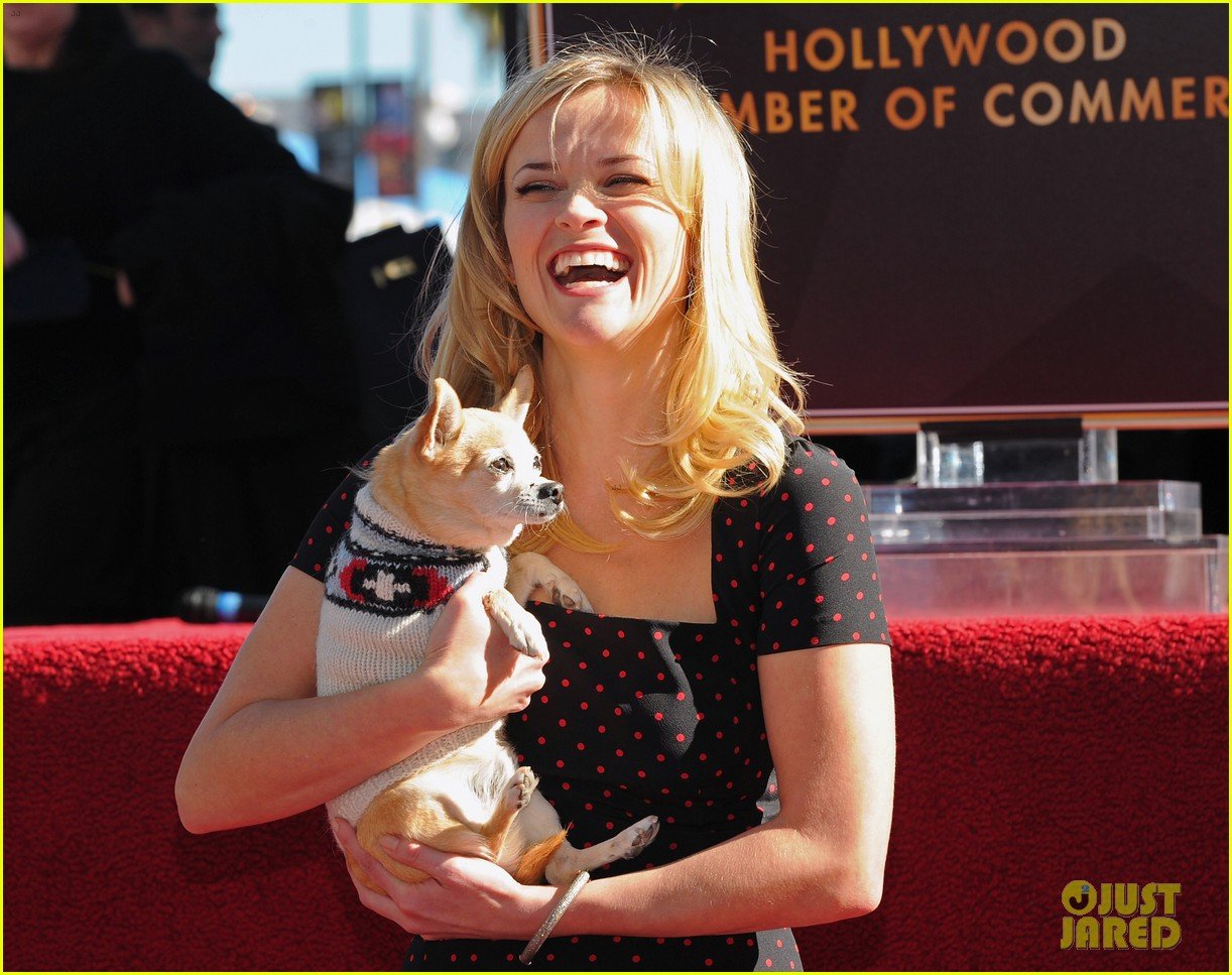 Reese Witherspoon Mourns Death of Dog Bruiser Woods Photo 3603196(01)