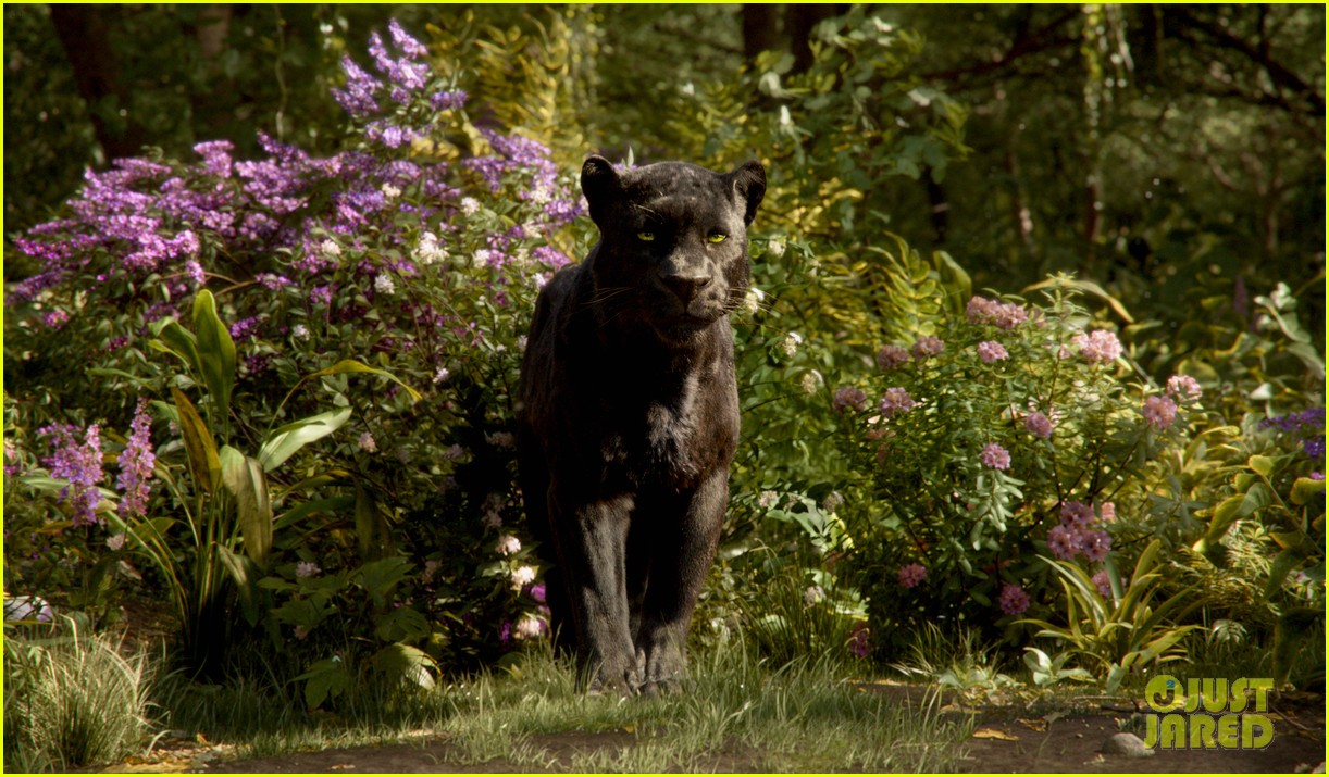 ‘The Jungle Book’ 2016 Cast: Who Voices the Characters?: Photo 3632218