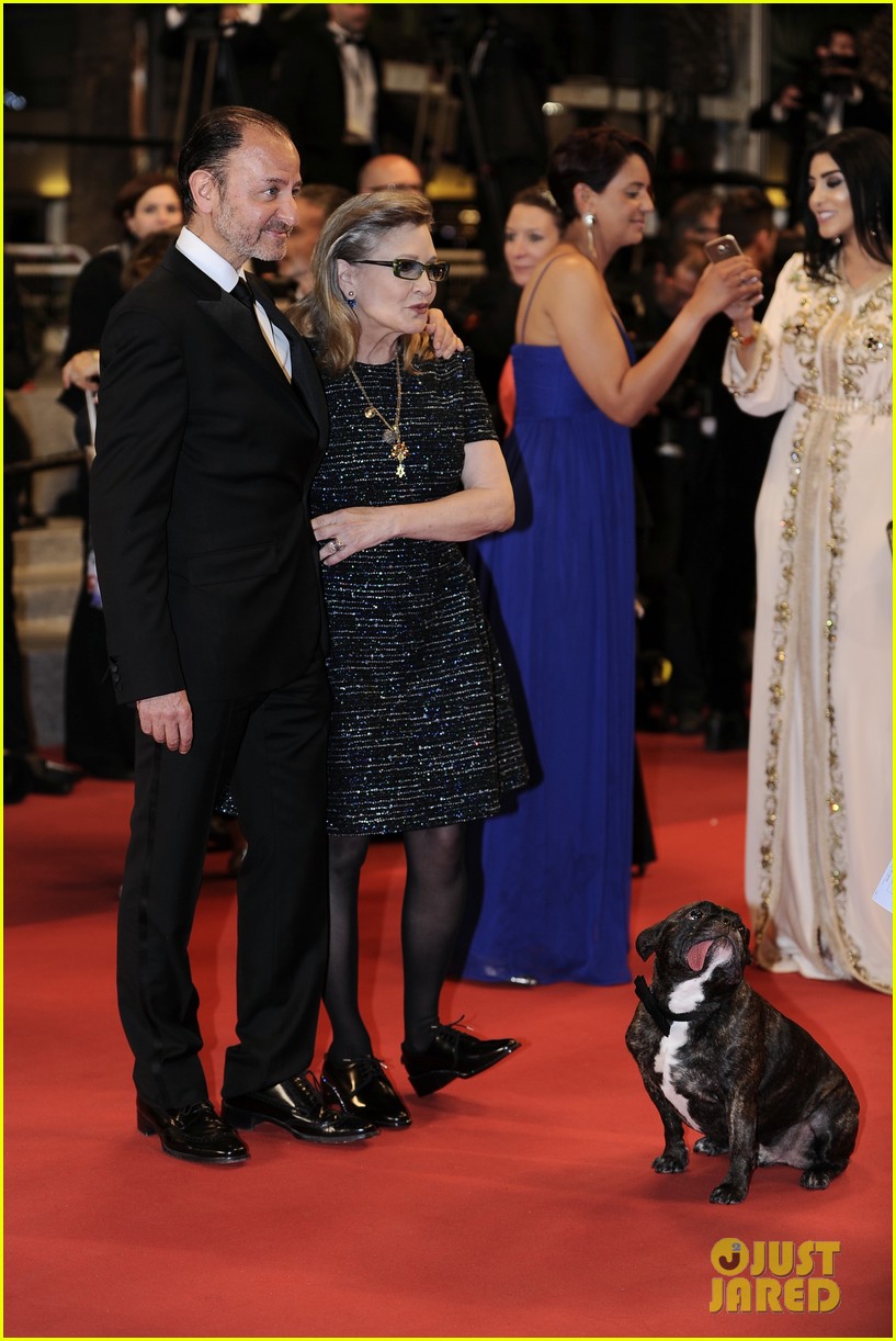 carrie fisher dog spotlight cannes 113656203