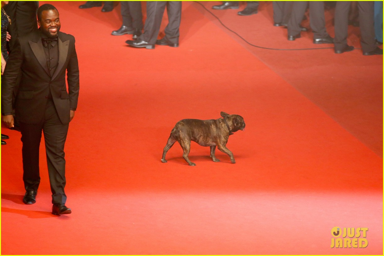 carrie fisher dog spotlight cannes 203656212