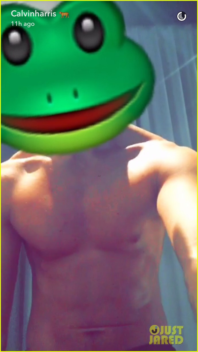 calvin harris shirtless abs frog head 023682795