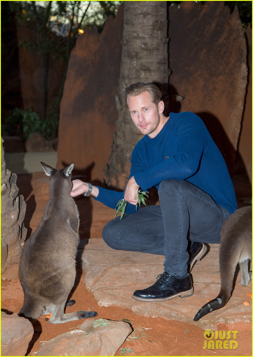alexander skarsgard poses with animals in australian wildlife park 223681889