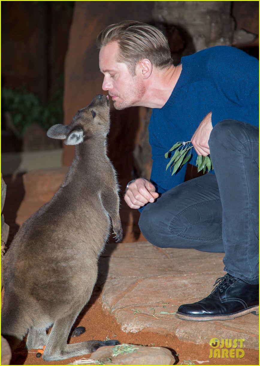 alexander skarsgard poses with animals in australian wildlife park 283681895