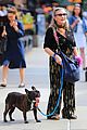 carrey fisher takes her bulldog for a walk around nyc 02