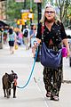 carrey fisher takes her bulldog for a walk around nyc 04