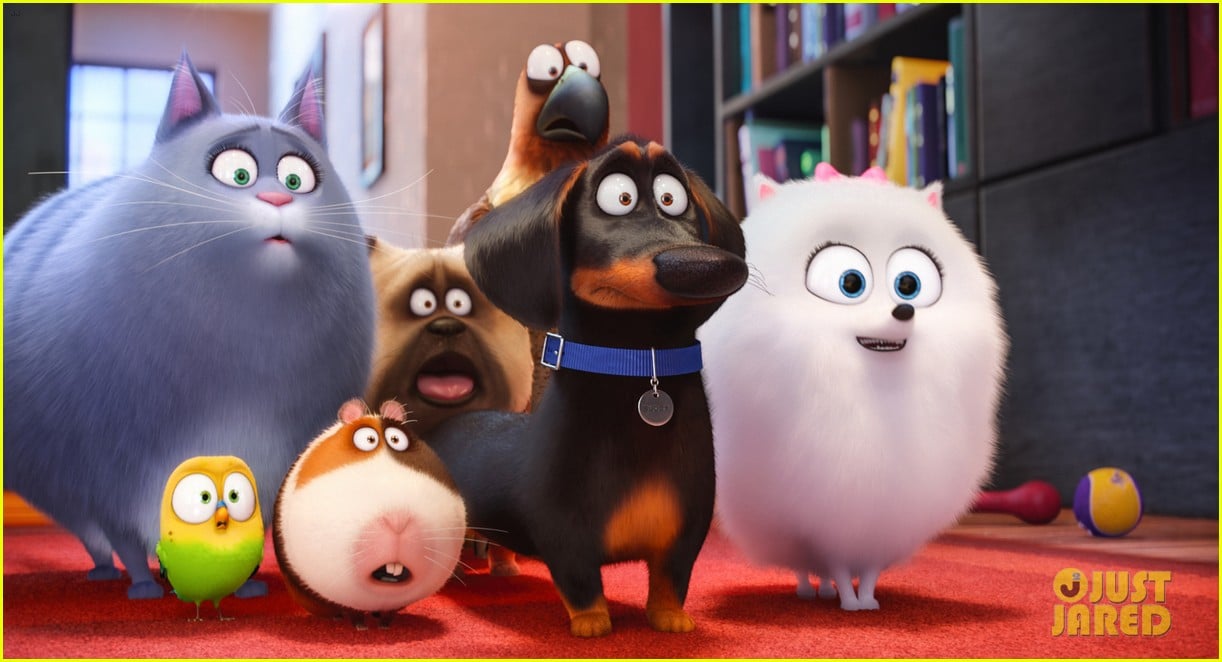 secret life of pets sequel hits theaters in 2018 063724111