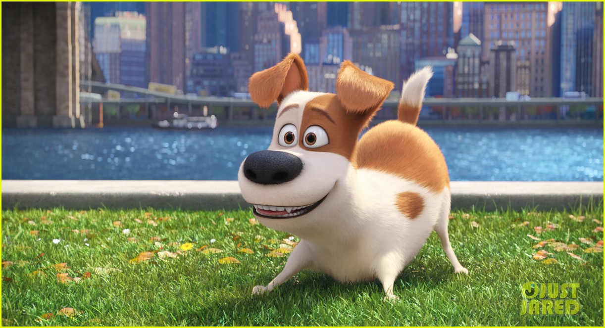 secret life of pets sequel hits theaters in 2018 153724120