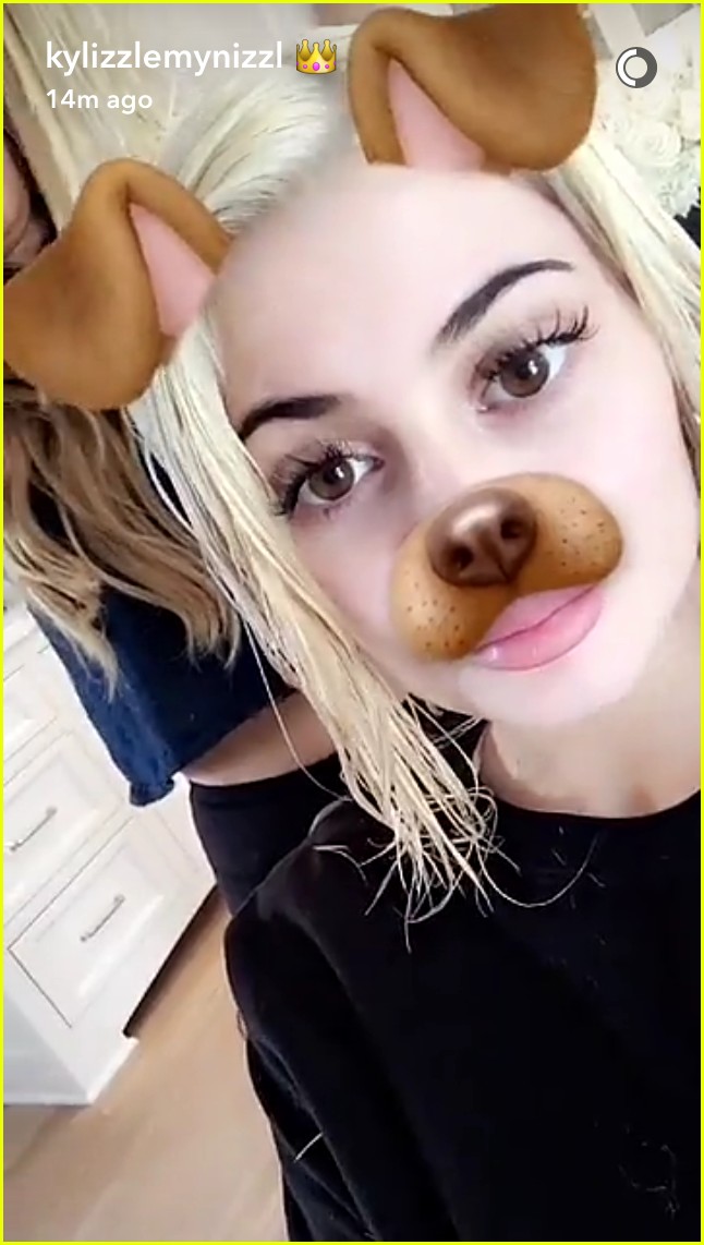 Kylie Jenner Dyes Her Hair Platinum Blonde See the Photos! Photo