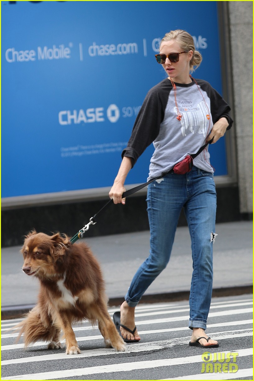 amanda seyfried shares cute pic of dog finn in a studded hat 09