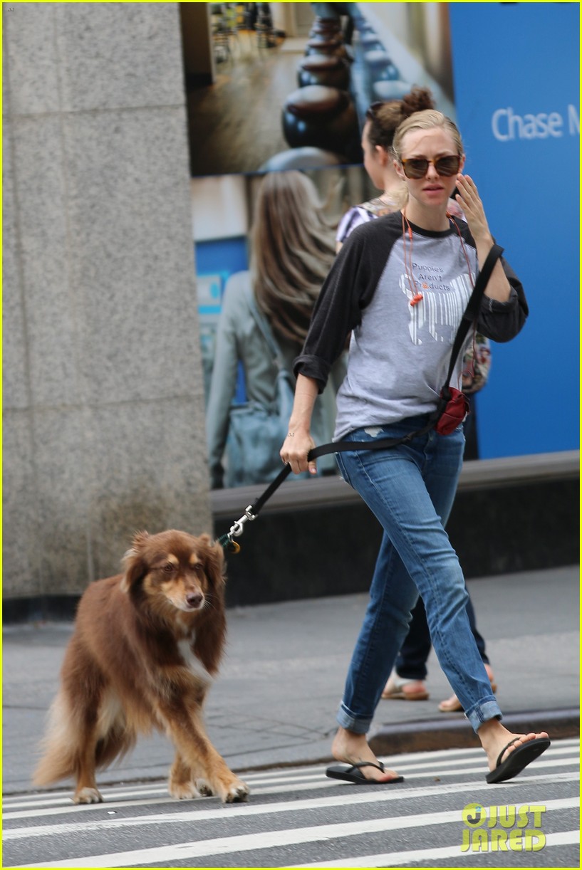 amanda seyfried shares cute pic of dog finn in a studded hat 103751098