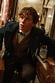 fantastic beasts and where to find them cast 11
