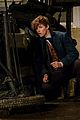 fantastic beasts and where to find them cast 16