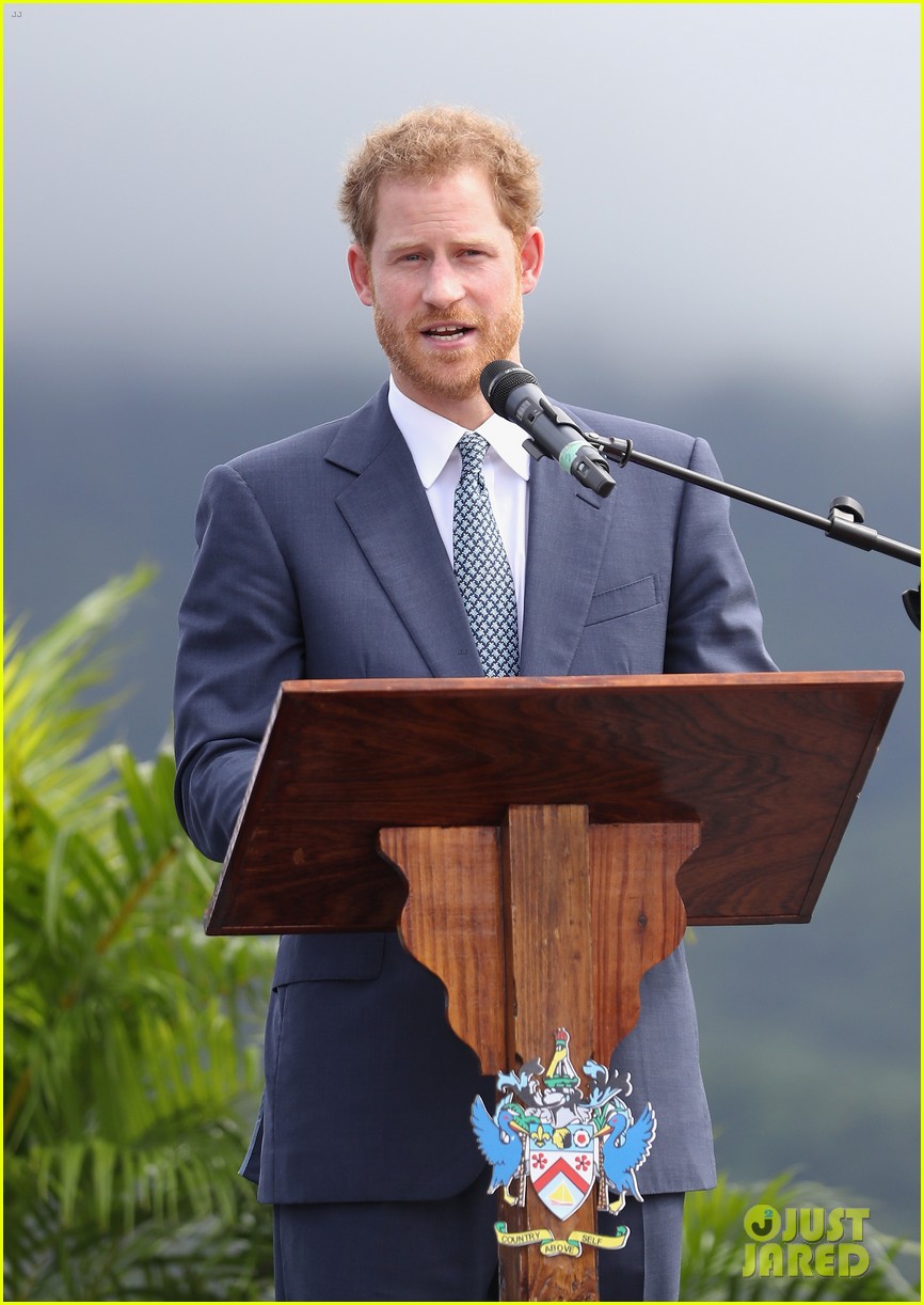 Prince Harry Releases Baby Turtles into the Ocean on Caribbean Tour