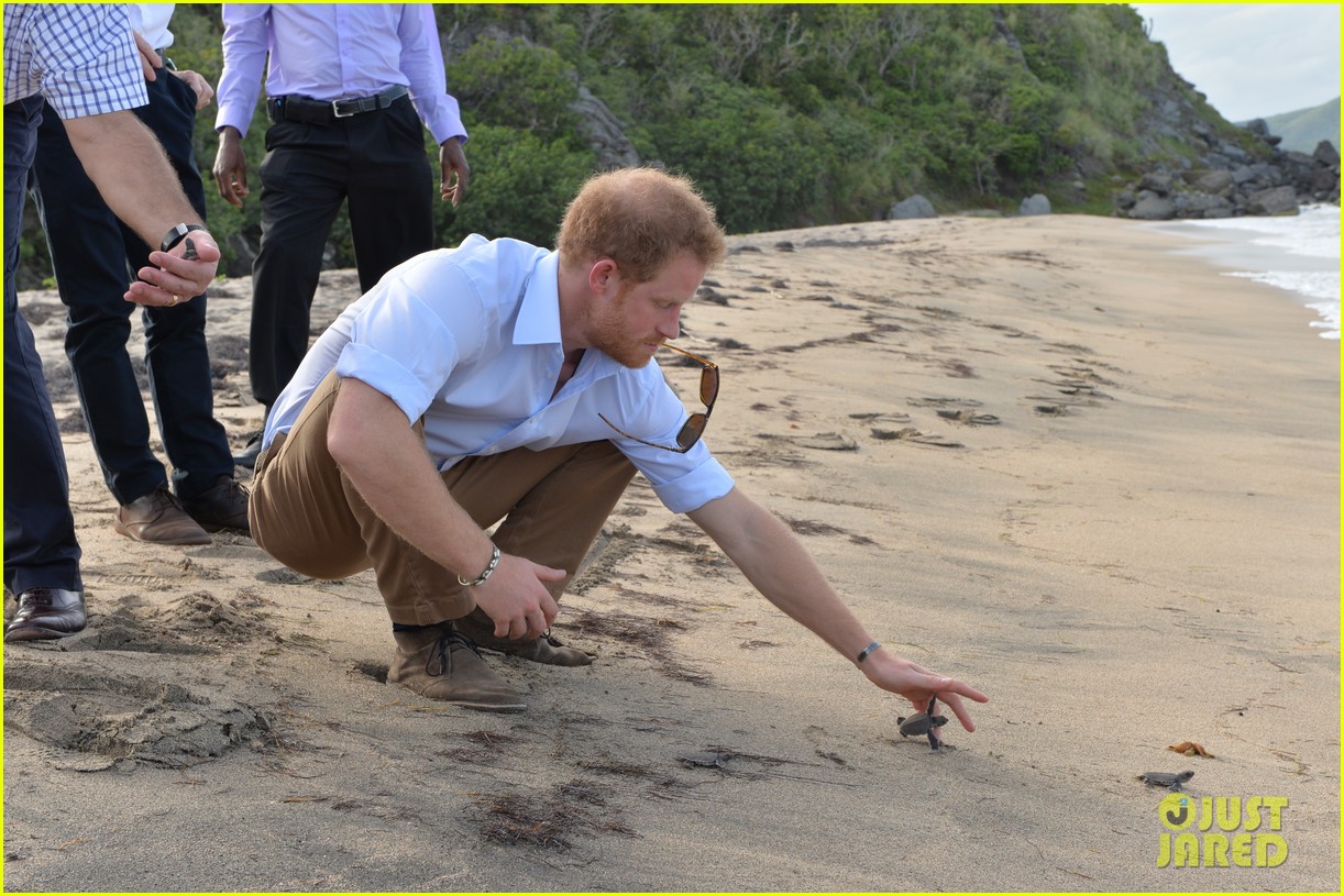 Prince Harry Releases Baby Turtles into the Ocean on Caribbean Tour(01)