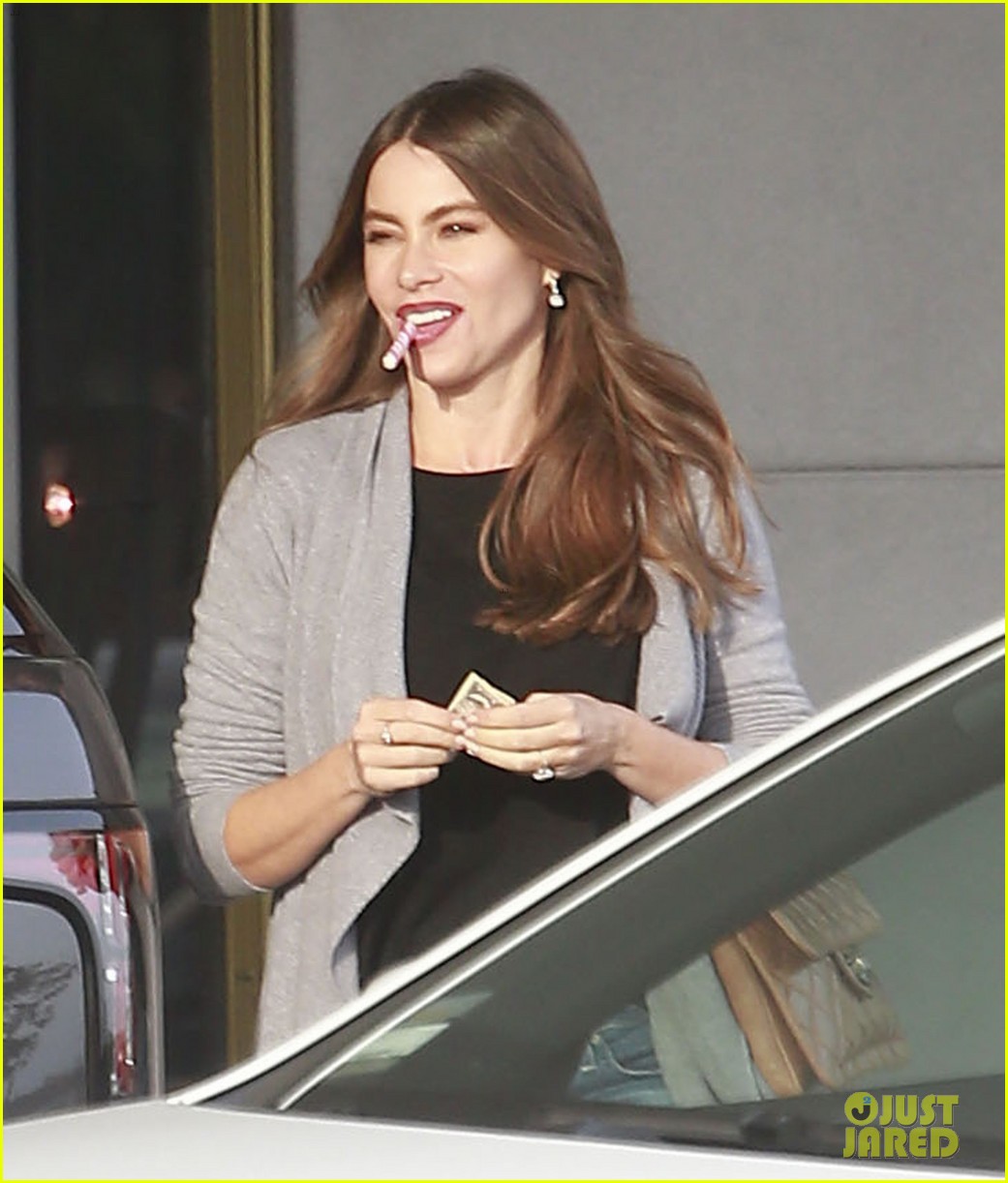 Sofia Vergara & Ex Nick Loeb Continue Battle Over Frozen Embryos