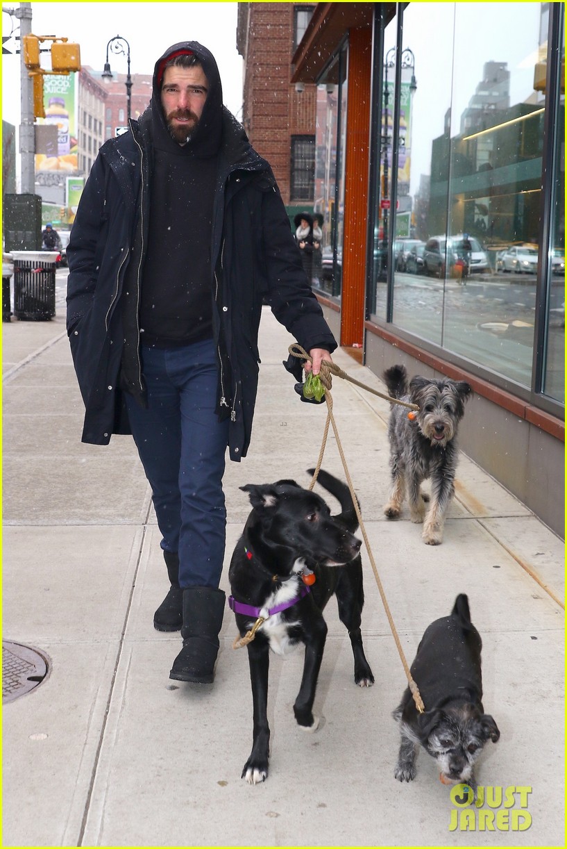 zachary quinto braves the snow to walk his dogs 05