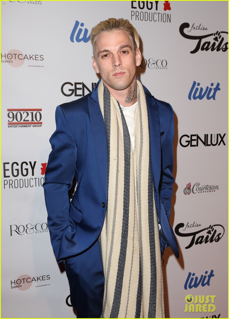 aaron carter allegedly attacked by his opening act 10