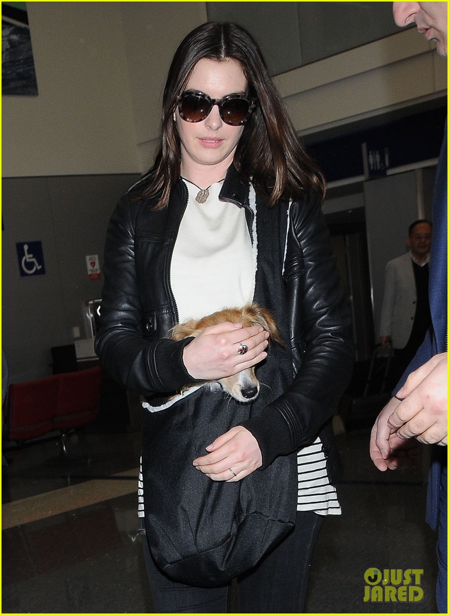 anne hathaway travels with her adorable pup 07
