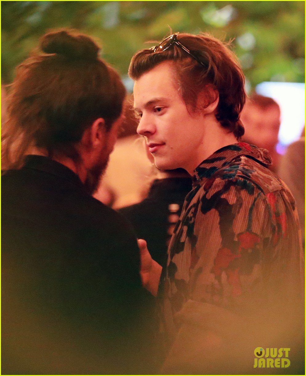 Photo: harry styles 23 birthday party malibu 18 | Photo 3851804 | Just