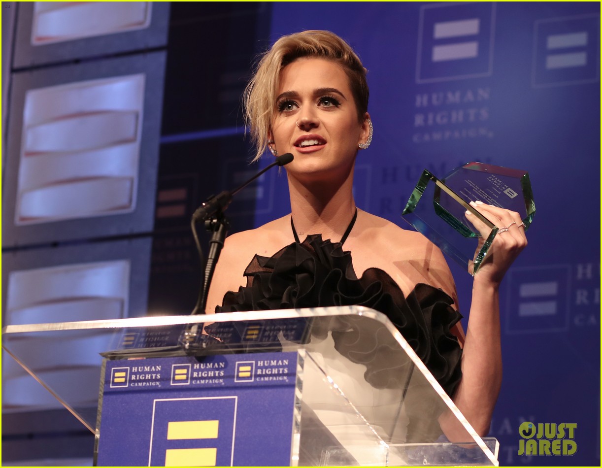 katy perry kissed girl human rights 033875998