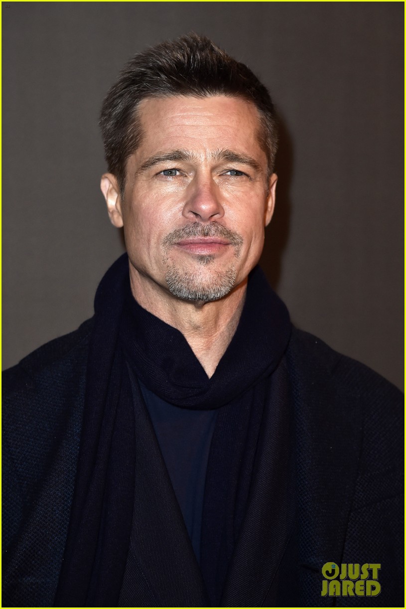 Is Brad Pitt Dating? Sources Weigh In on His Social Life Photo 3877585