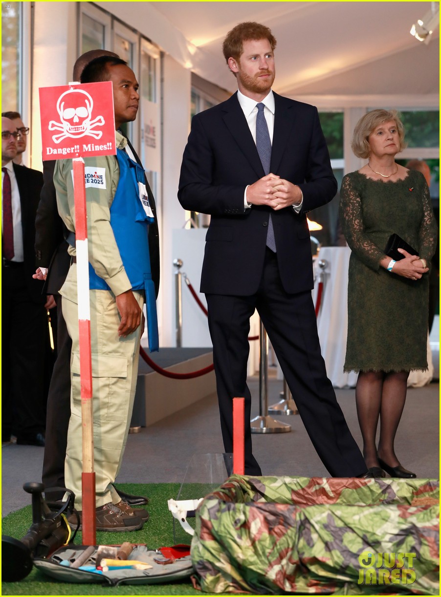 Prince Harry Honors His Mom's Work to Eliminate Landmines Photo(02)