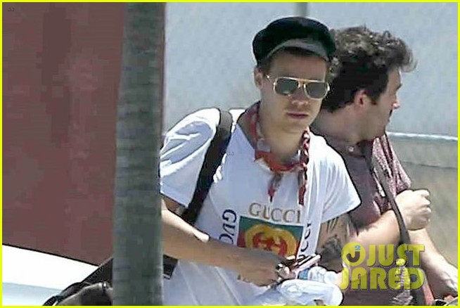 harry styles returns home from his mexican vacation 023904401