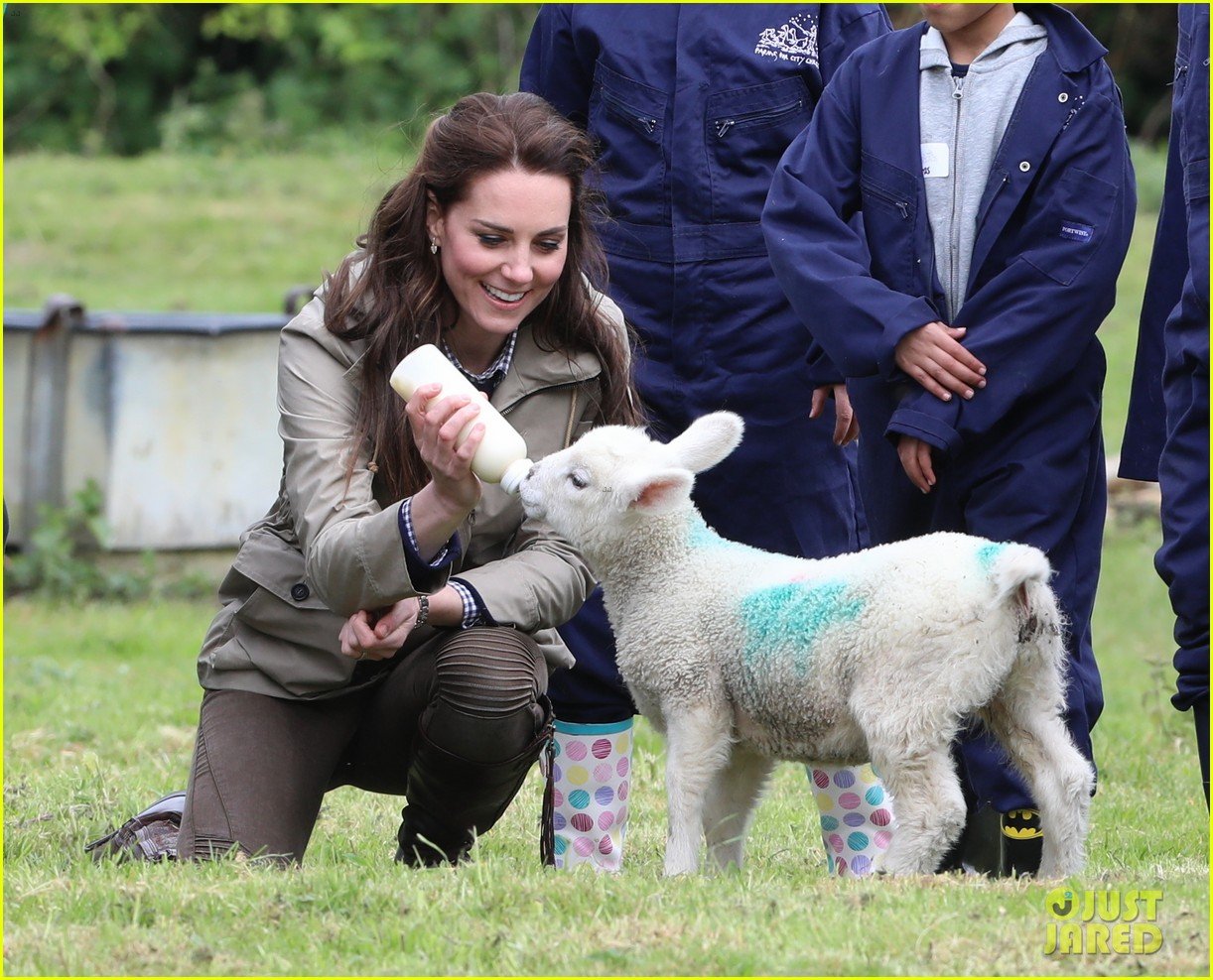 kate middleton feed baby lambs farms for children visit 223894802