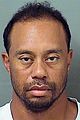 tiger woods reportedly arrested for dui 01