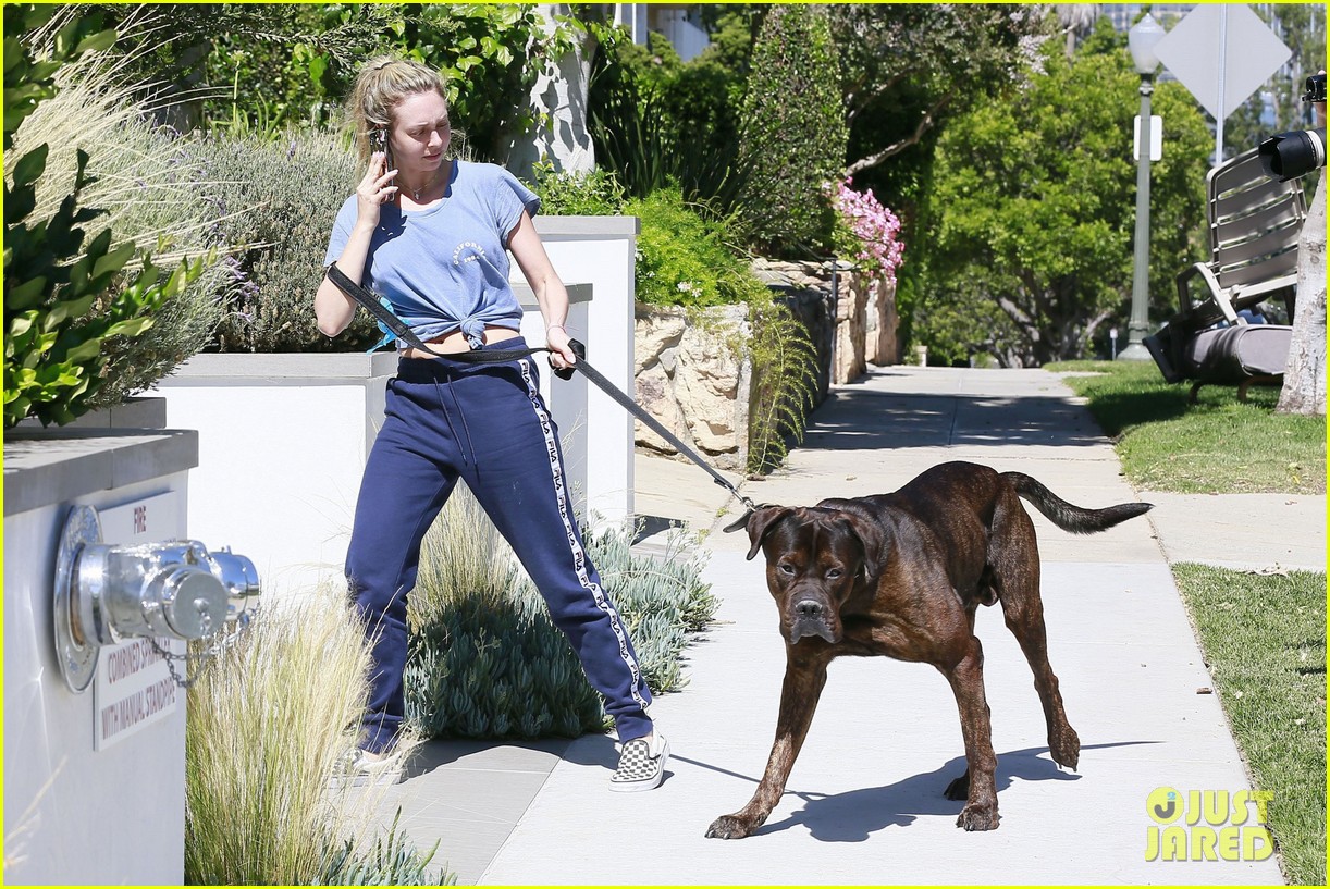 corinne olympios spotted walking dog amid bachelor scandal 203915133