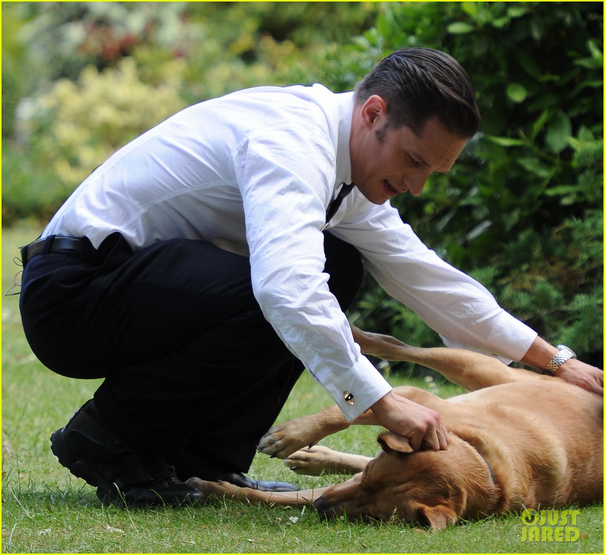Tom Hardy Writes Emotional Tribute After Dog Woody's Death: Photo ...