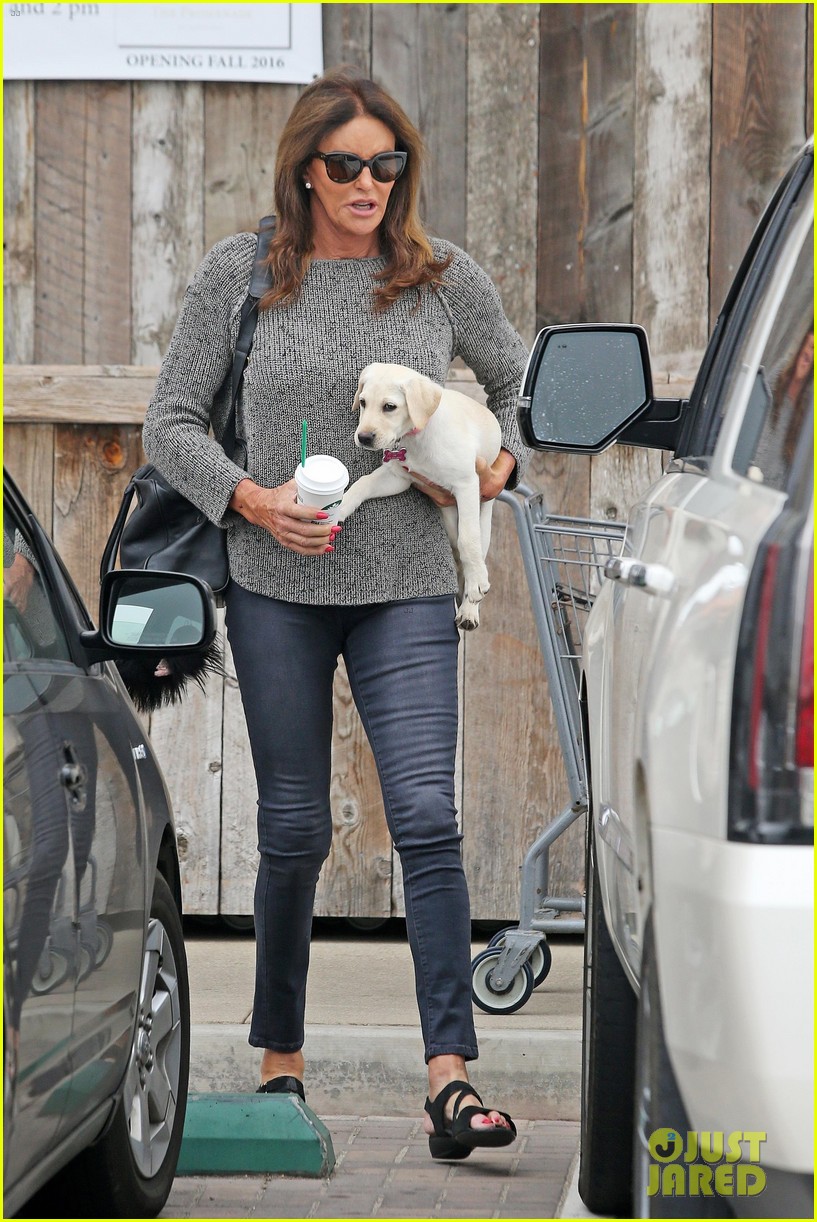 caitlyn jenner takes her new puppy grocery shopping 053921673