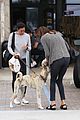 caitlyn jenner takes her new puppy grocery shopping 03