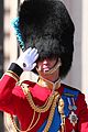 prince william attends rehearsals for queens birthday parade 03