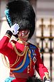 prince william attends rehearsals for queens birthday parade 10
