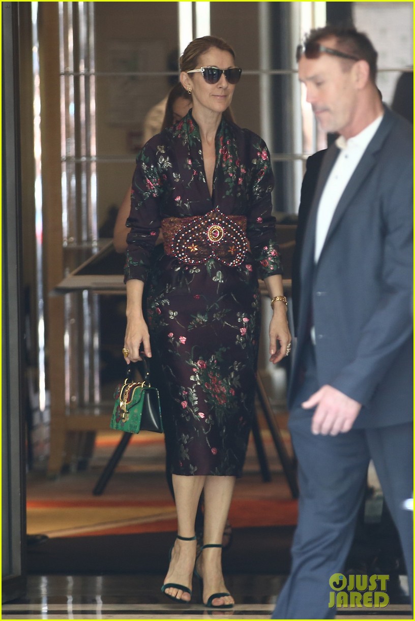 celine dion goes 18th century chic for dramatic photo shoot in paris 143924593